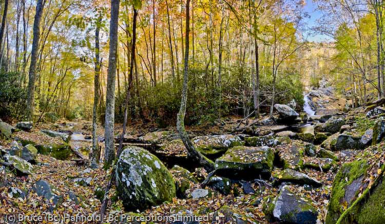 Autumn Blanket On Little River